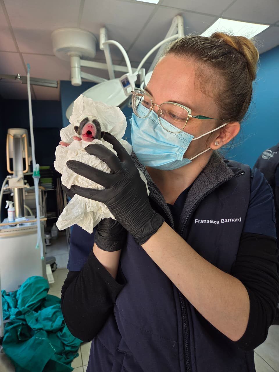 Fransesca Barnard caring for a patient