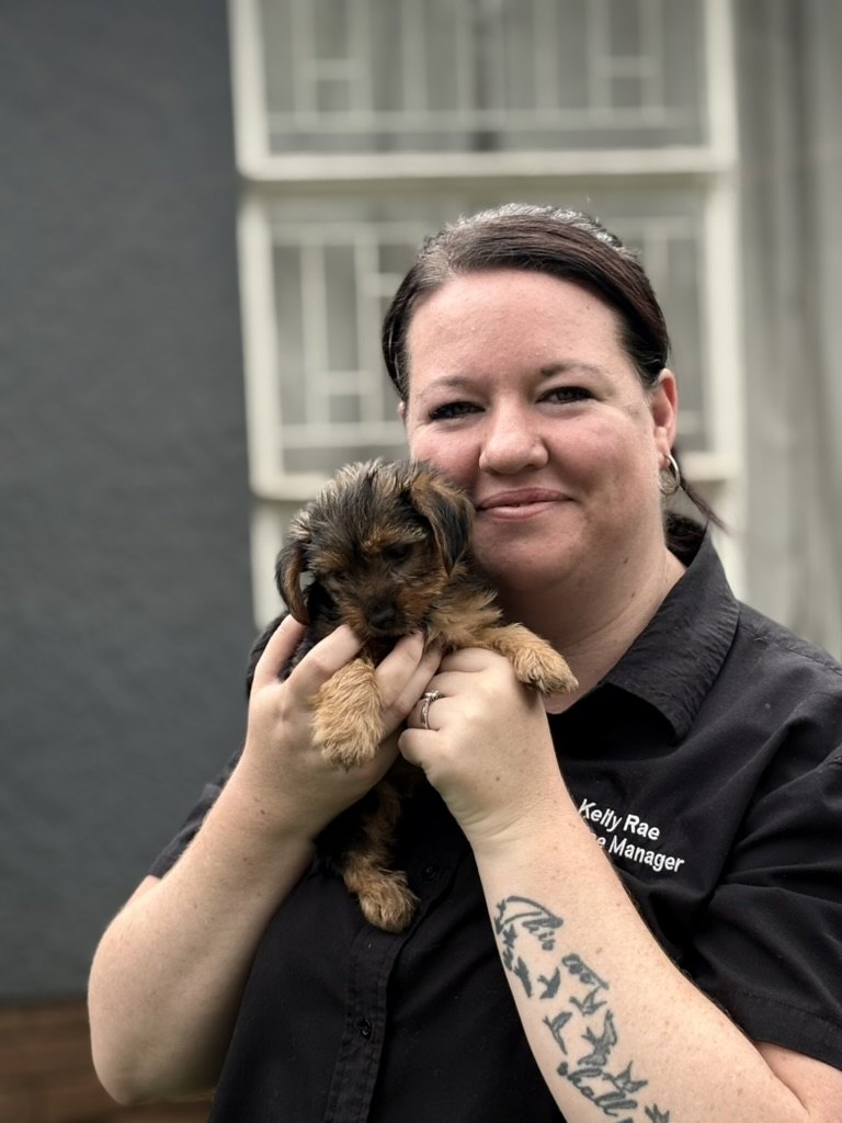 Kelly Rae, practice manager, holding a Yorkshire terrier puppy