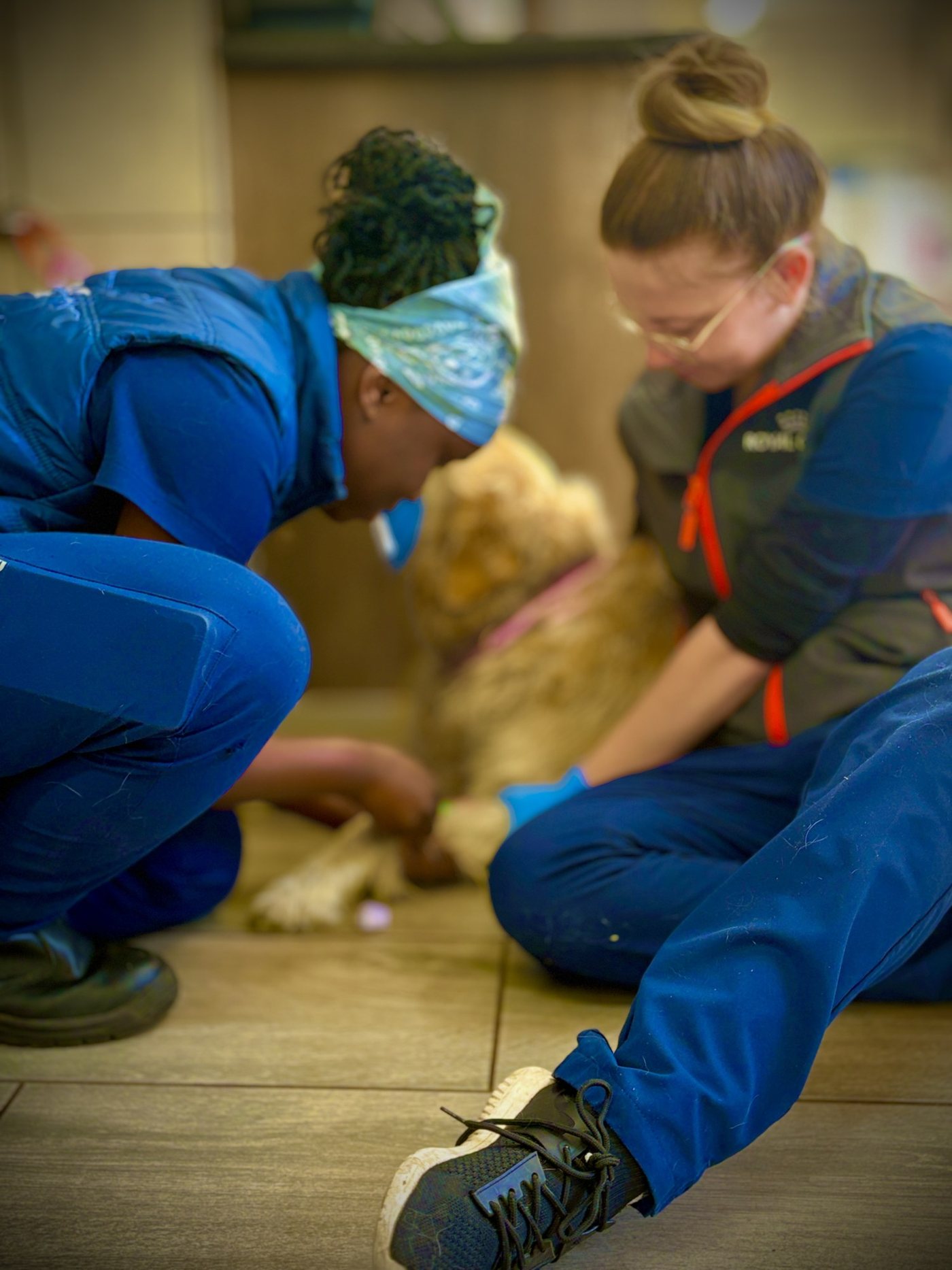 Two assistants sitting on the floor with a patient