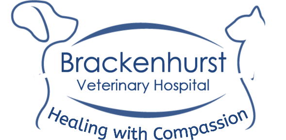 Brackenhurst Veterinary Hospital — Healing with Compassion
